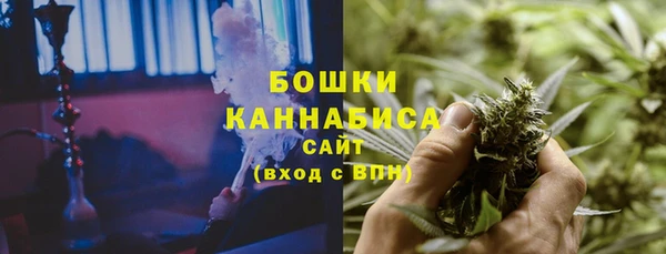 амф Краснослободск