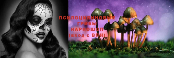 MDMA Premium VHQ Коряжма