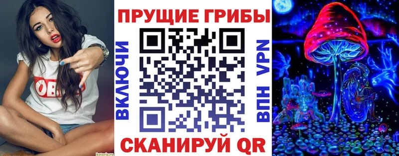 Купить  Вельск  Псилоцибиновые грибы Psilocybe 